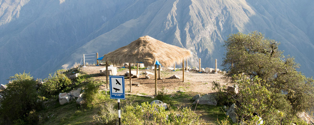 Chonta Viewpoint  of the Condor 1 Day